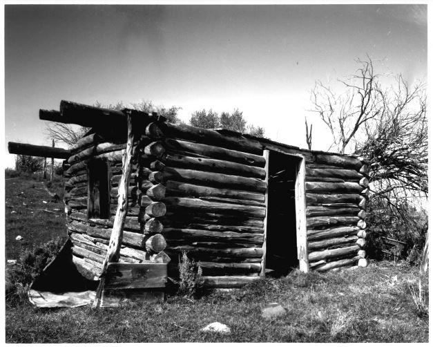 elinore_pruitt_stewart_letters